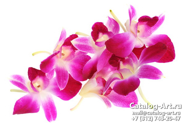 Натяжные потолки с фотопечатью - Розовые орхидеи 37